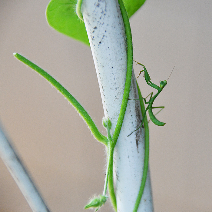 2022 24 From Above 1069 marco ciavolino Post