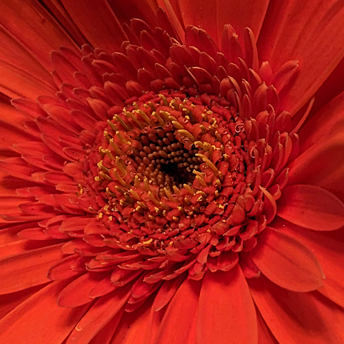 Line from a Song (2023-08)